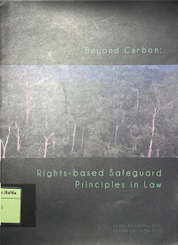 Beyond Carbon : rights - based safeguard principles in law
