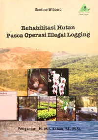 Rehabilitasi Hutan Pasca Operasi Illegal Logging